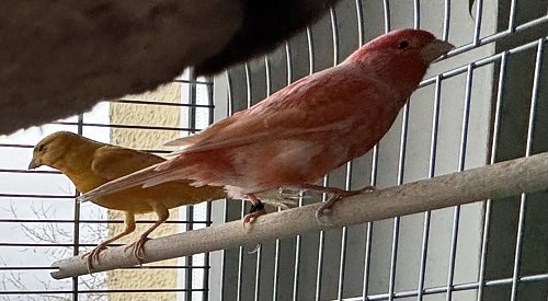 Begr&uuml;&szlig;ung von neuen Mitarbeitern - charmant & fr&ouml;hlich